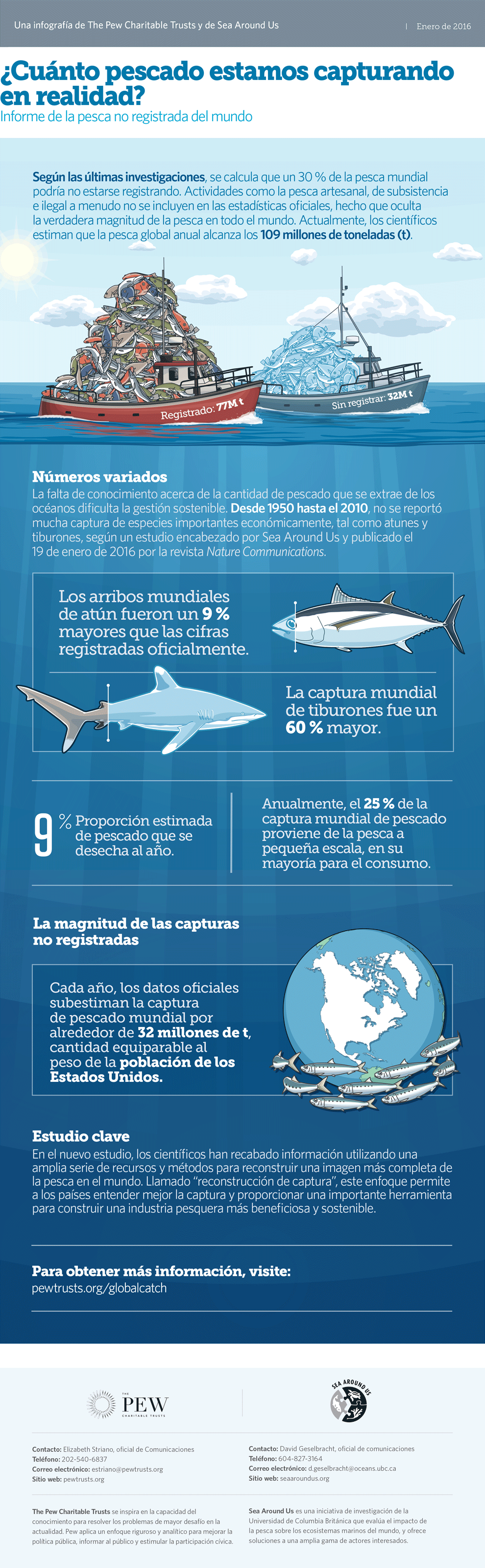 &iquest;Cu&aacute;nto pescado estamos capturando en realidad?