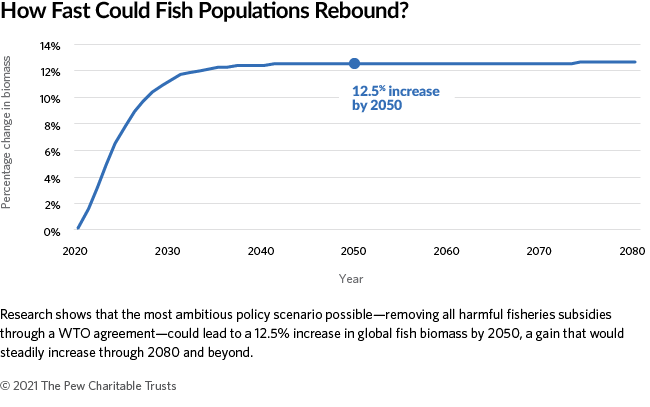 How Fast Could Fish Populations Rebound?