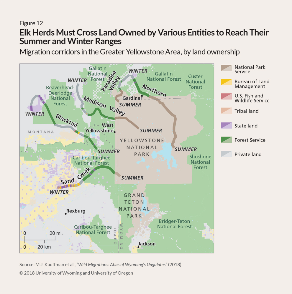 Map showing various land owners in the border region of Idaho, Montana, and Wyoming. The legend indicates ownership by the National Park Service in brown, specifically for Yellowstone and Grand Teton national parks; the U.S. Bureau of Land Management in yellow; the U.S. Fish and Wildlife Service in red; Tribal nations in tan; states in purple; the U.S. Forest Service in green; and private landowners in gray. Five thick lines overlay the area and show the routes of the Northern, Paradise Valley, Madison Valley, Blacktail and Sand Creek elk herds, which all summer in or near Yellowstone. The lines highlight the many ownership borders that the elk cross during their migrations using darker shades of the same seven colors.