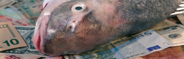 Pew Applauds Uruguay for Adopting New Port Measures to Stem Illegal Fishing Pew Applauds Uruguay for Adopting New Port Measures to Stem Illegal Fishing