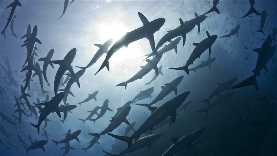 GettyImages551984351