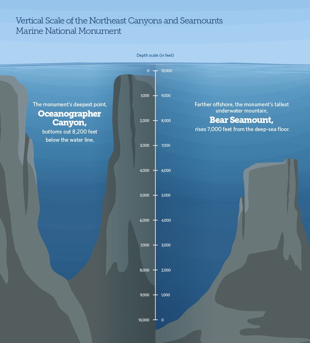 Vertical scale of monument