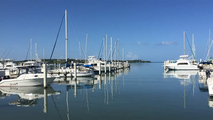 Caribbean fishery management plans