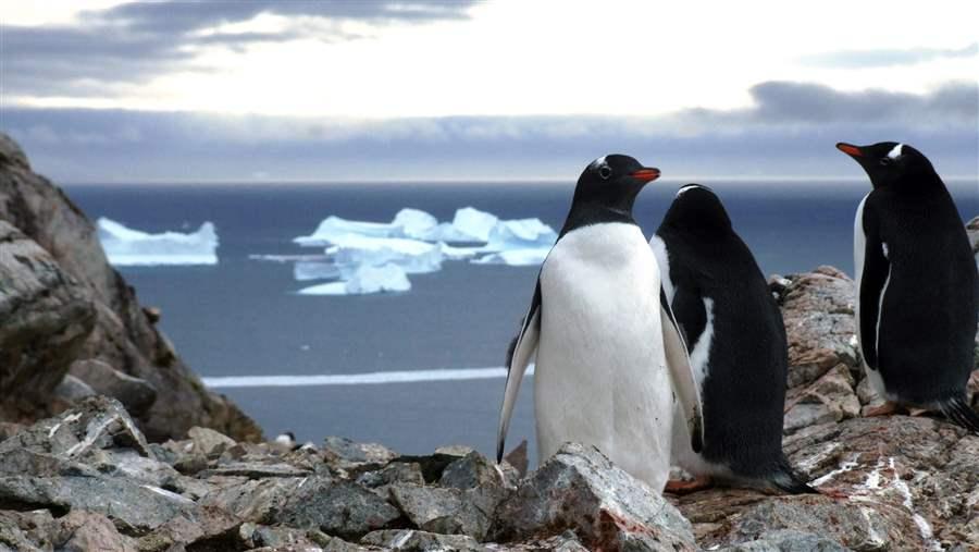 Marine protected areas in the Southern Ocean