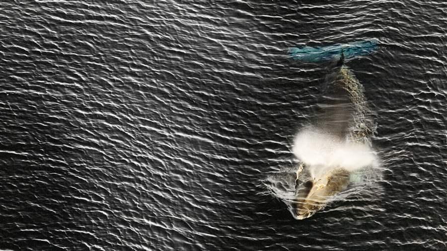 Marine protected areas in the Southern Ocean