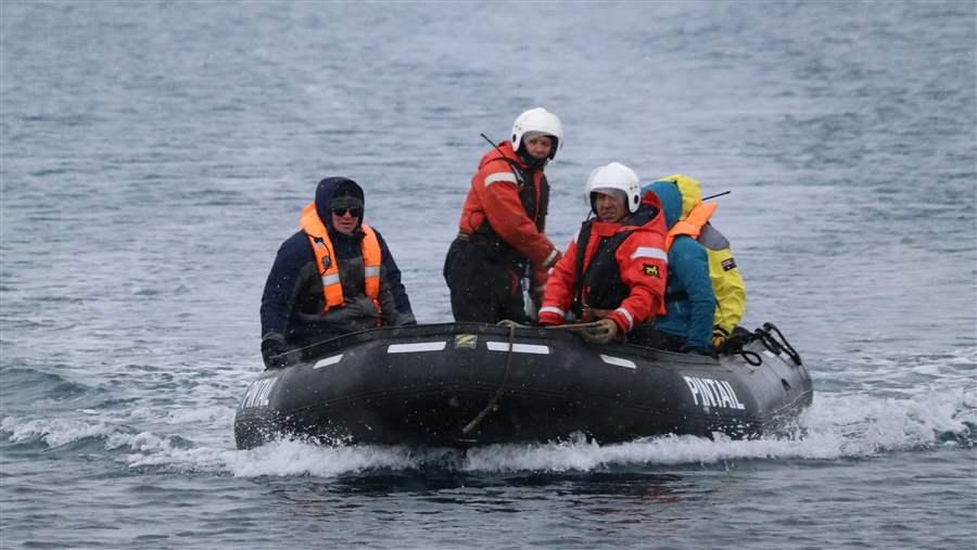South Georgia Islands 2